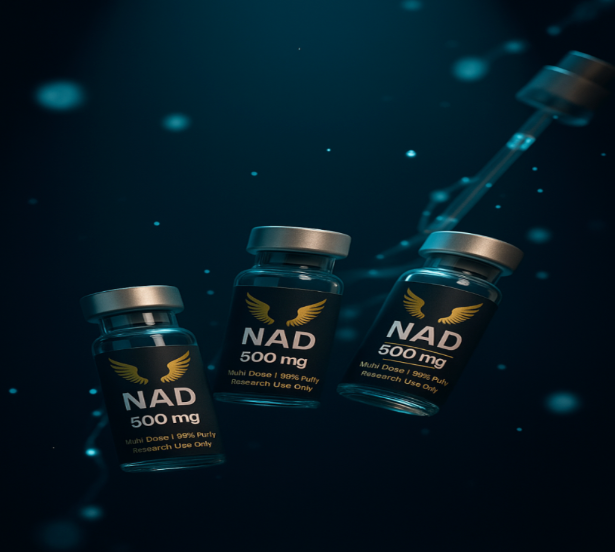 Metabolic Support & Recovery